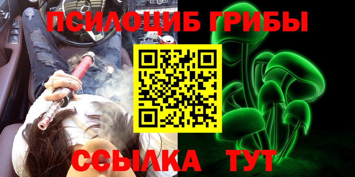 Псилоцибиновые грибы GOLDEN TEACHER Мурманск